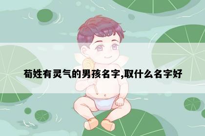 荀姓有灵气的男孩名字,取什么名字好